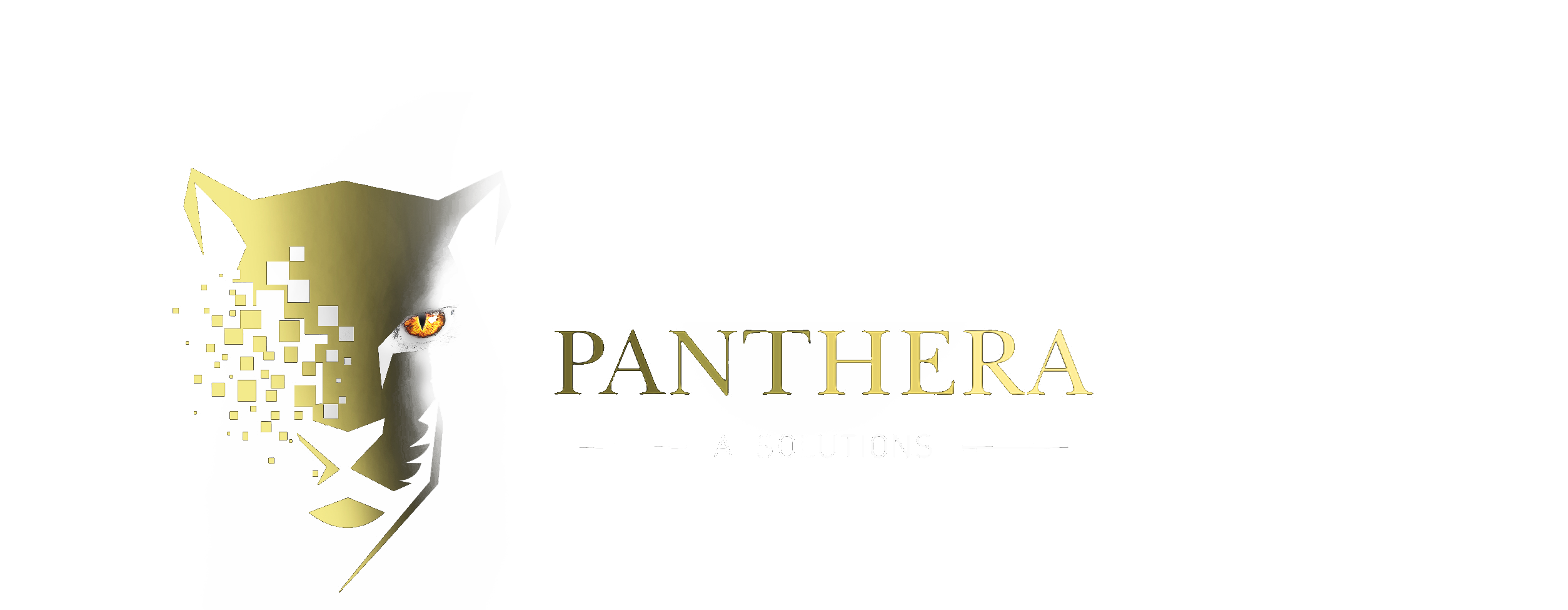 Panthera AI Solutions